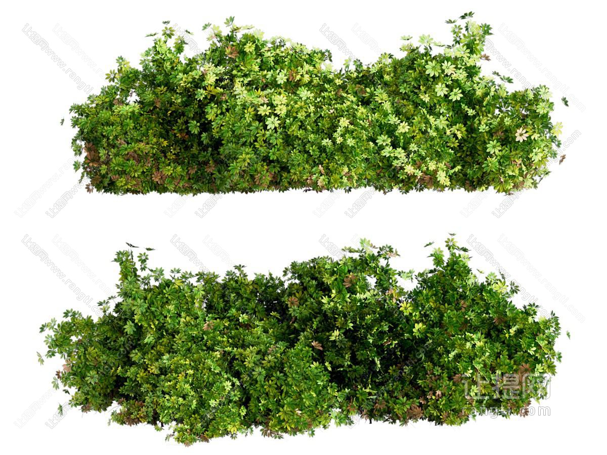 植物堆