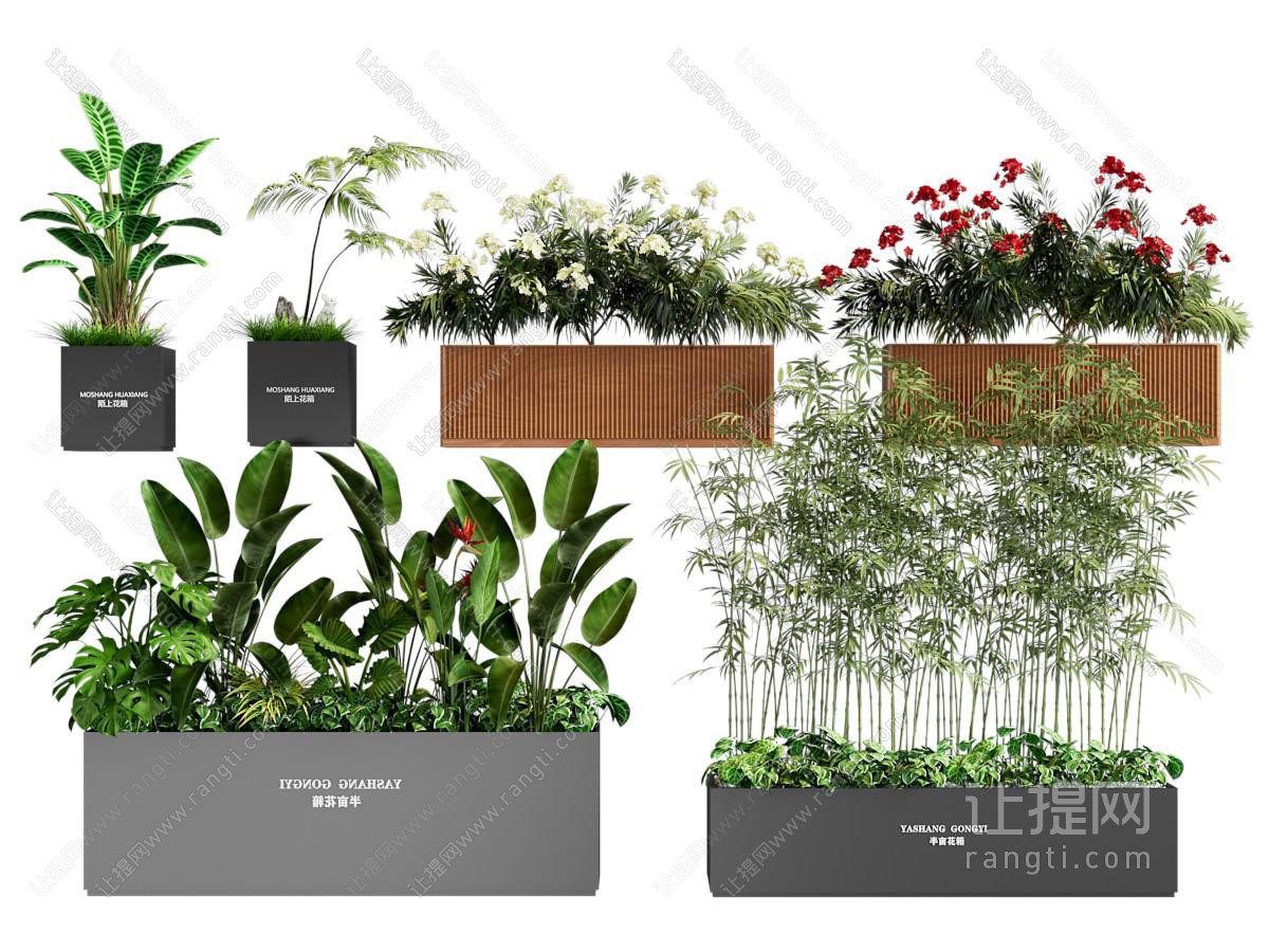 绿植花箱