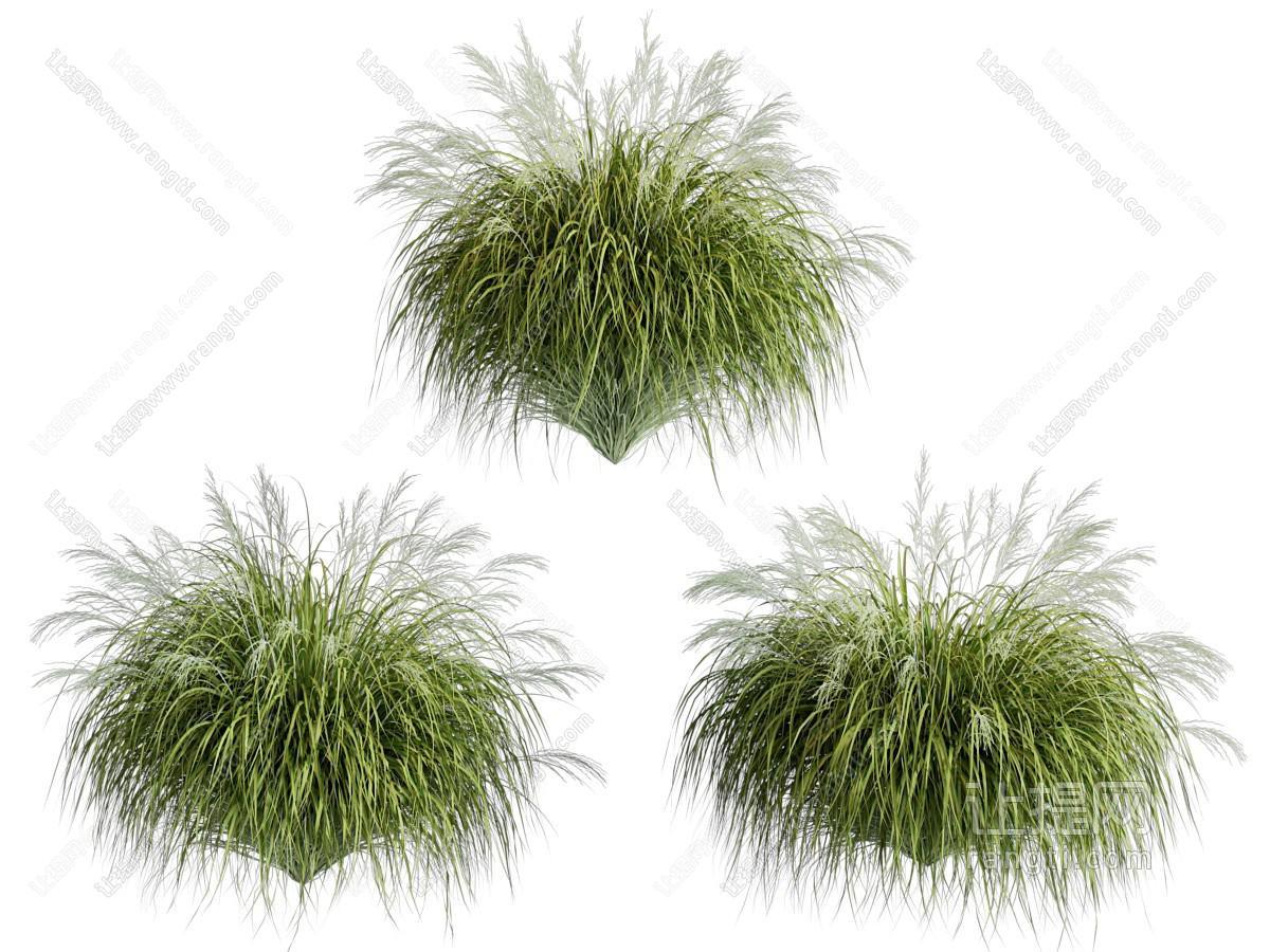 草花 灌木