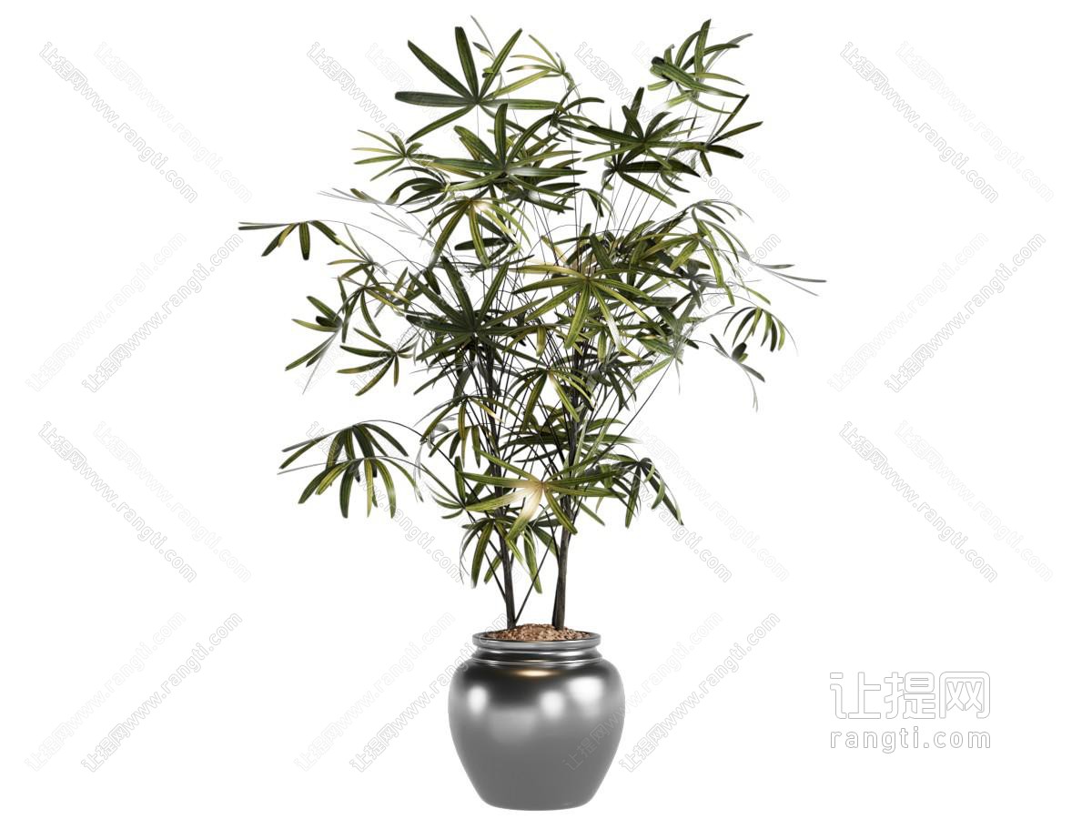 盆栽