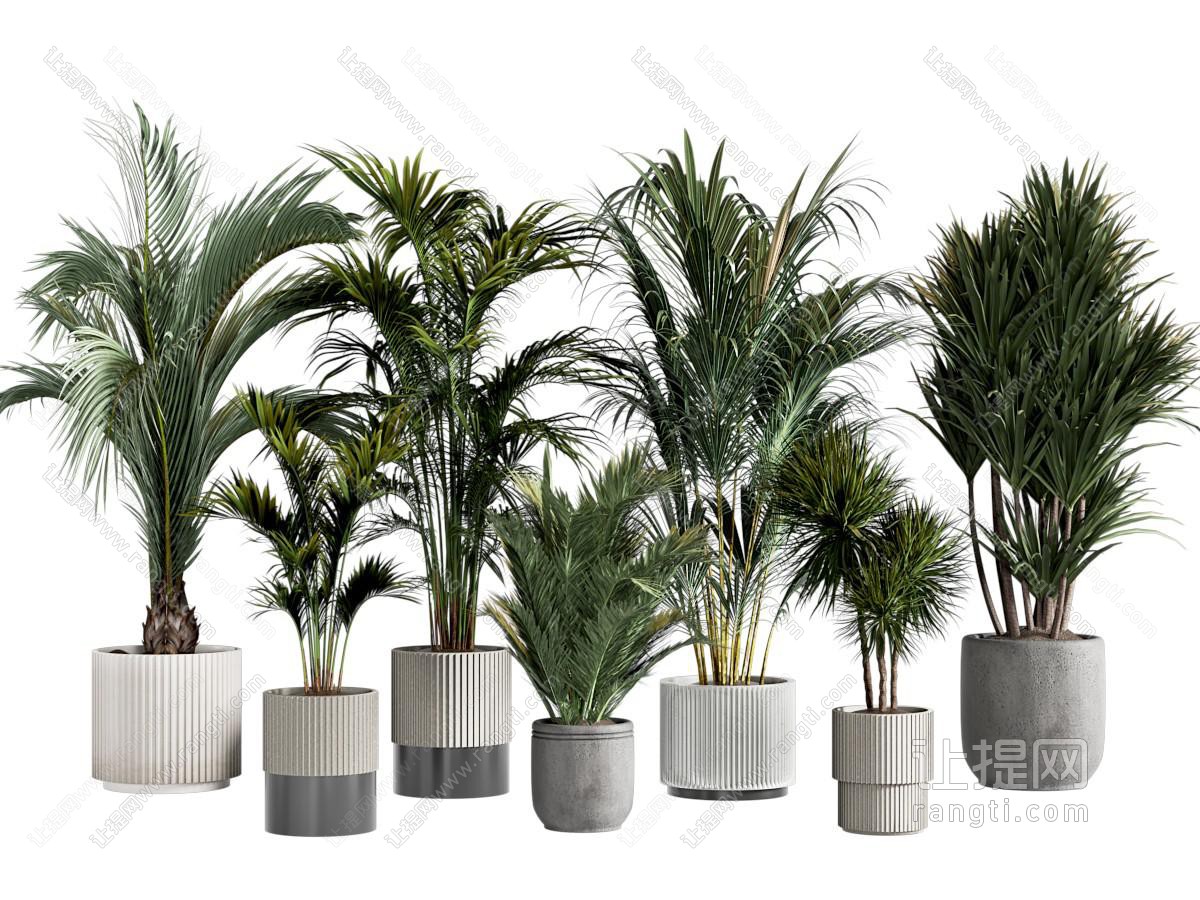 绿植盆栽组合