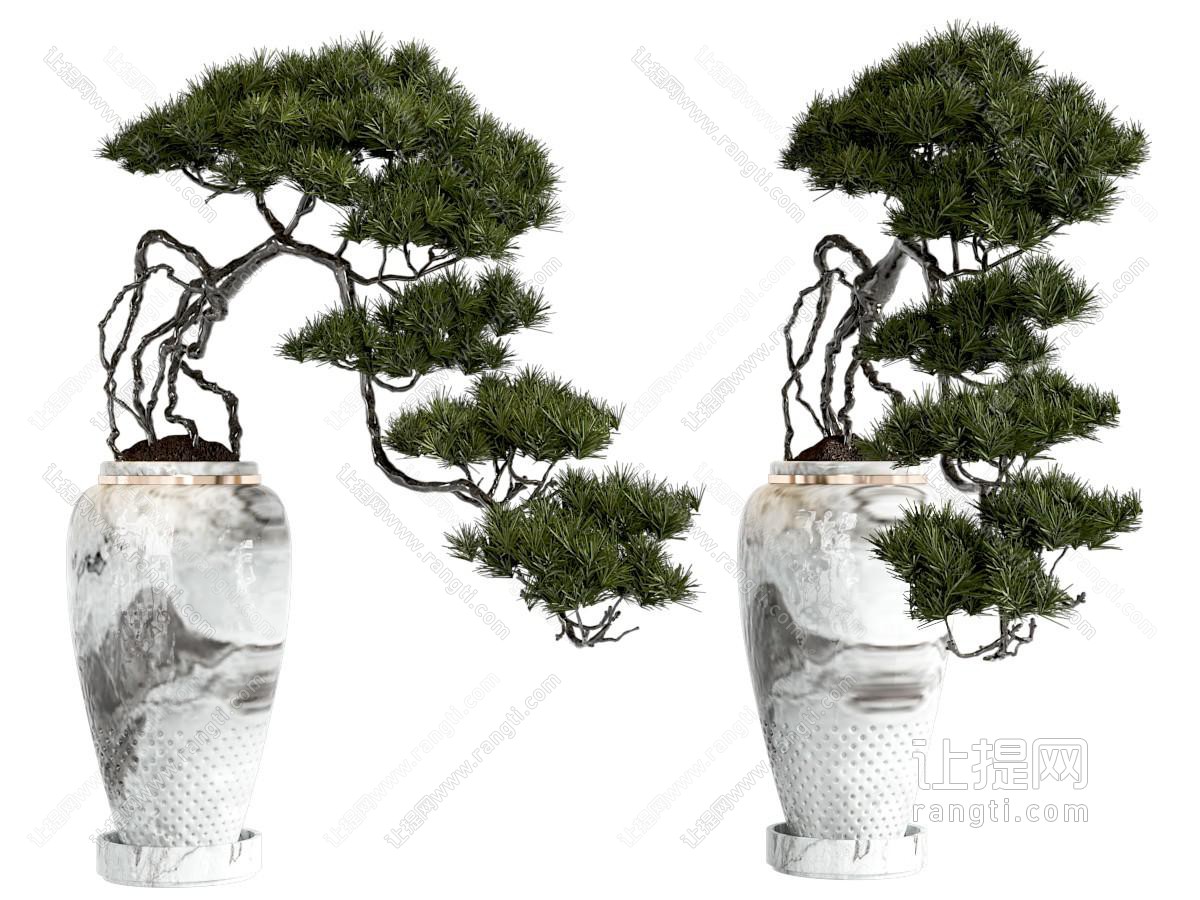 新中式盆栽