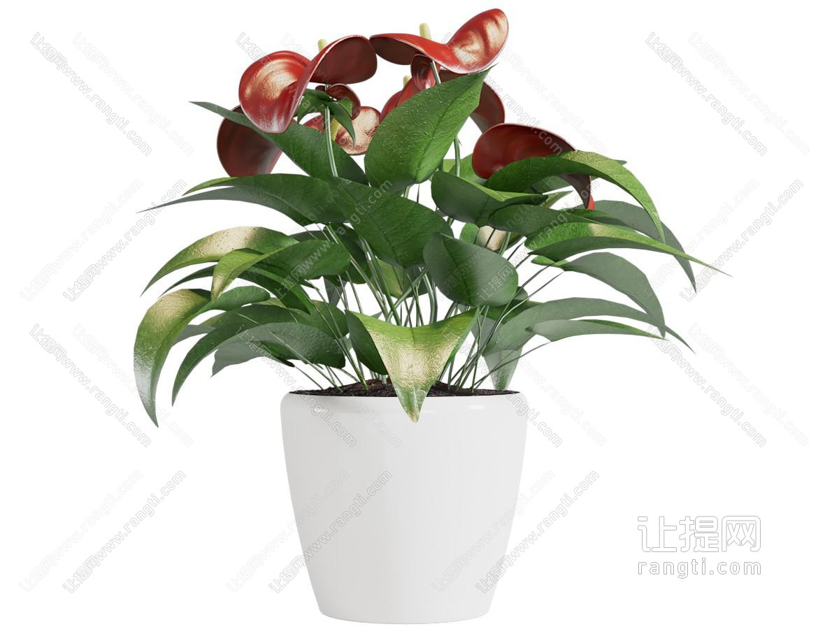 现代绿植盆栽