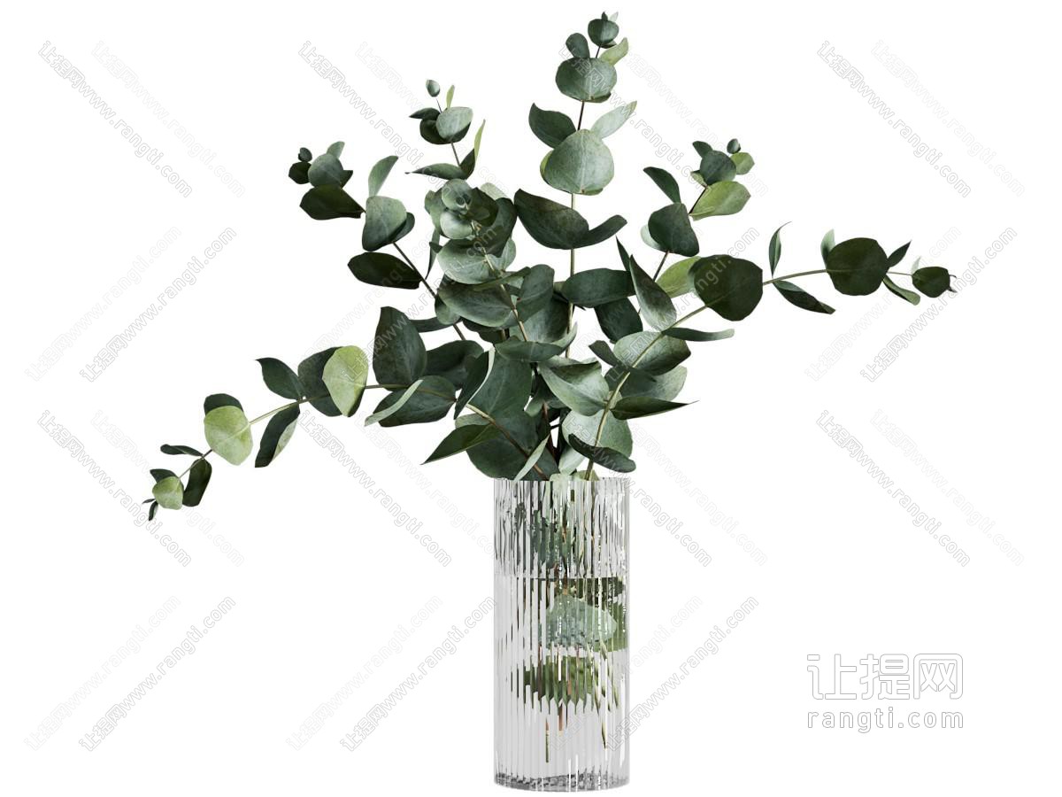 现代水生植物