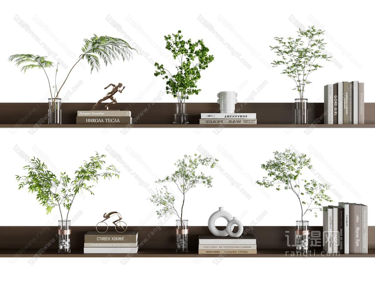 水生植物