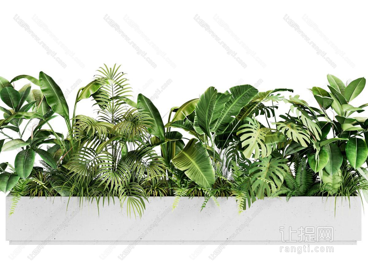 植物组合 植物堆 花池花坛