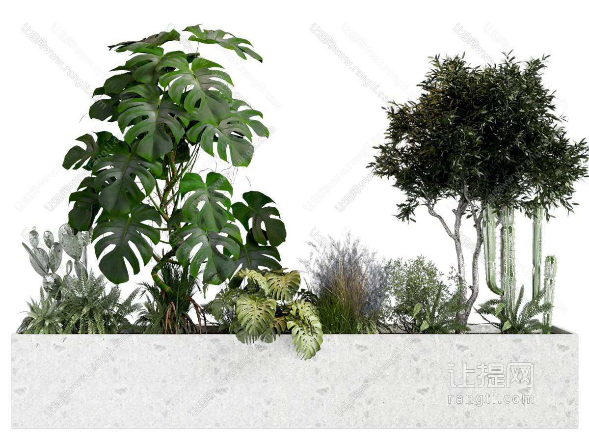 现代植物堆 景观植物