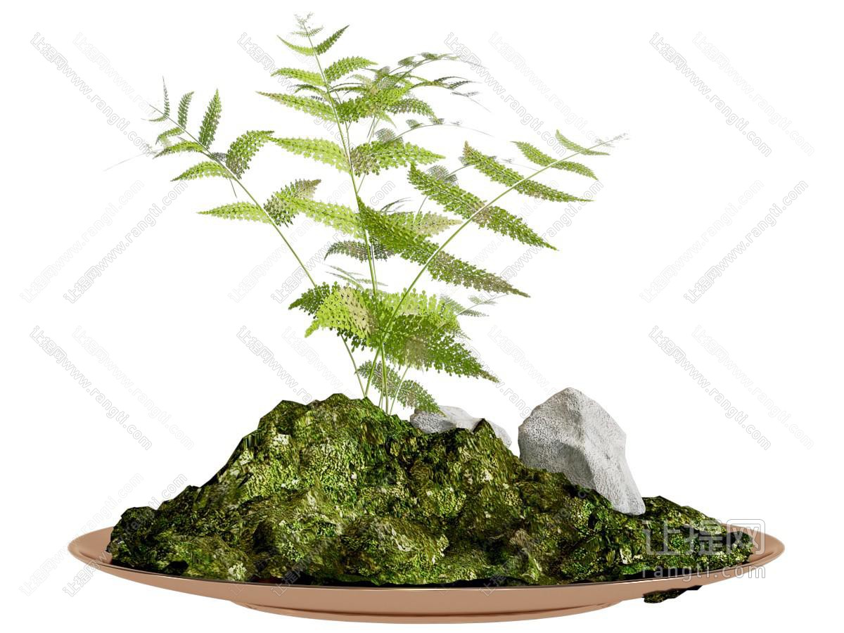 盆景