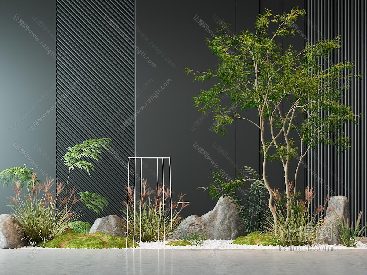 植物小景