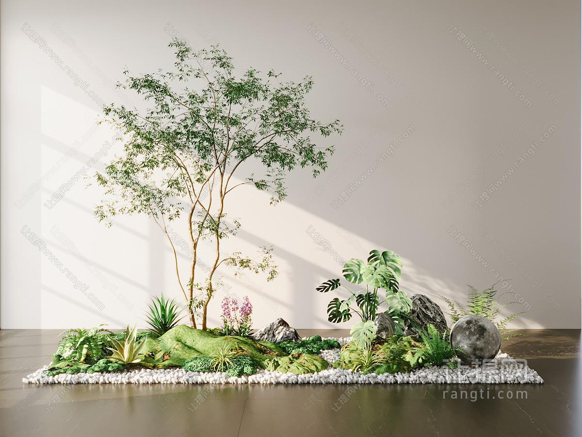 绿植 盆栽 植物造景 室内造景 植物堆