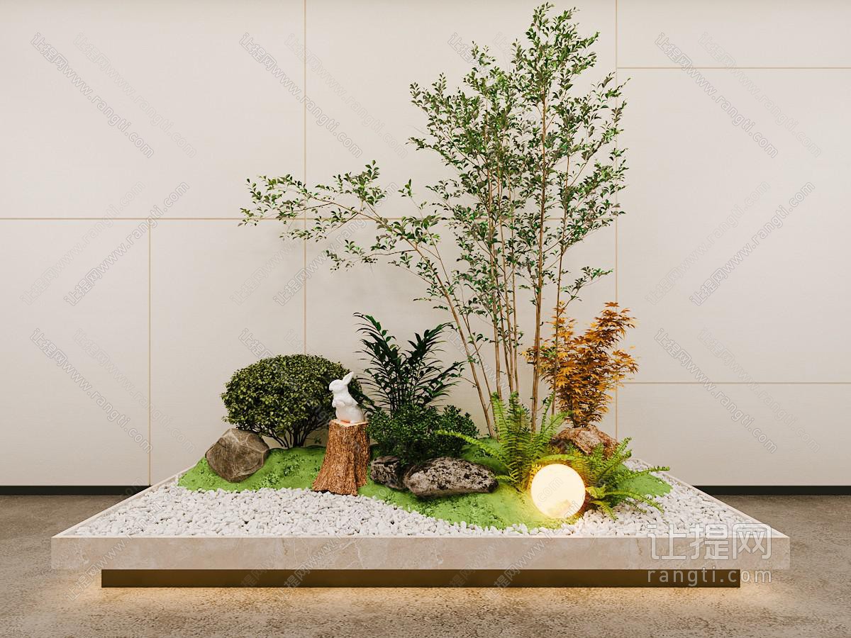 室内造景 植物堆