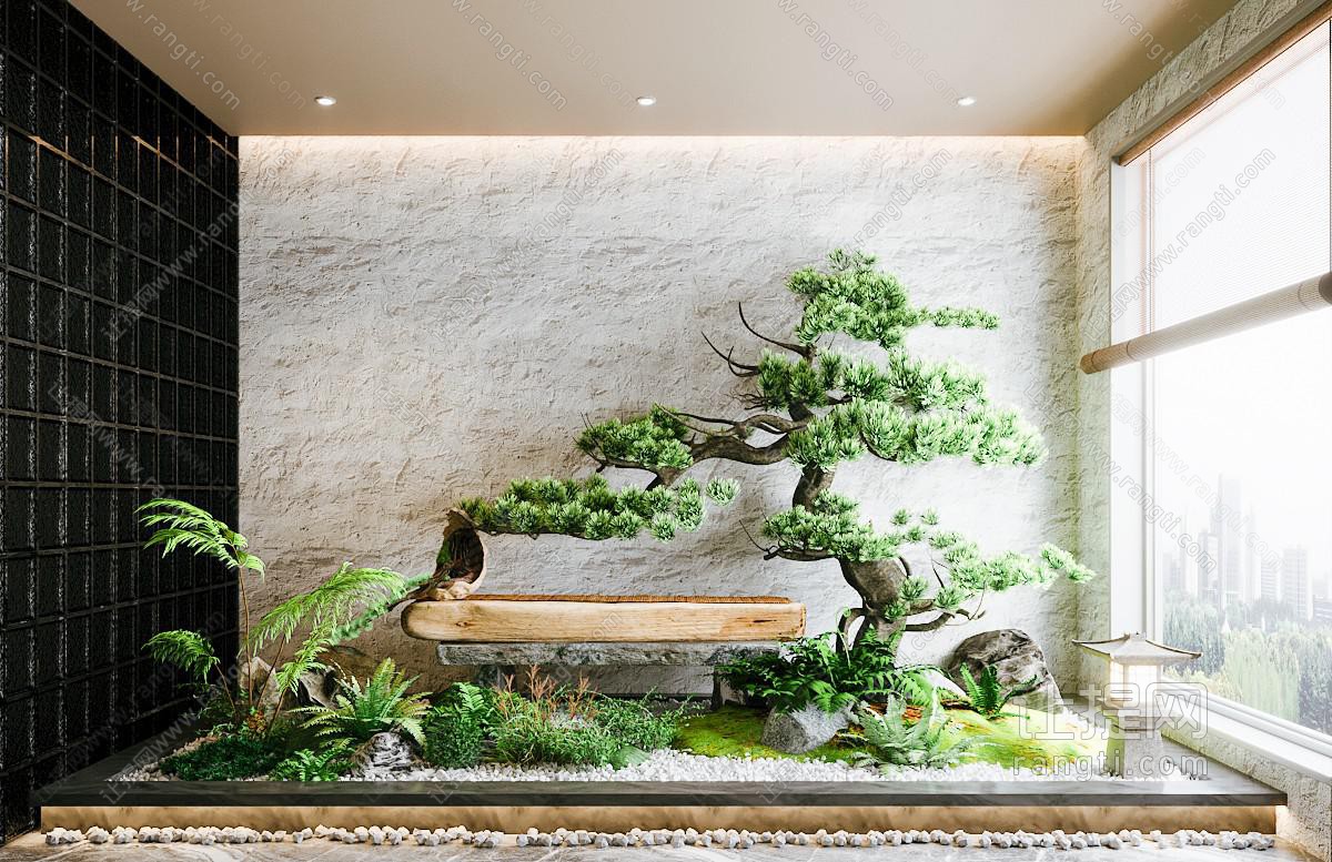 室内造景 松树植物堆