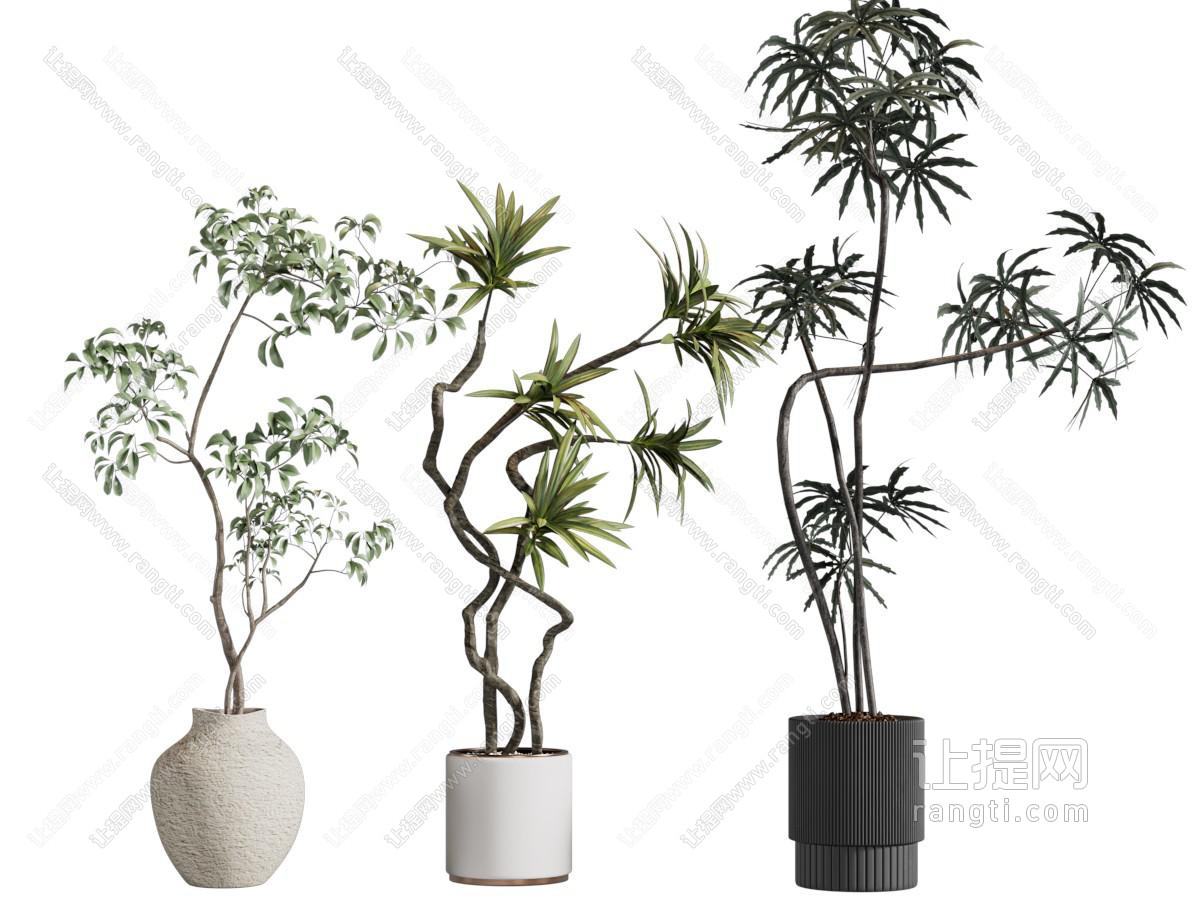 现代落地绿植盆栽组合