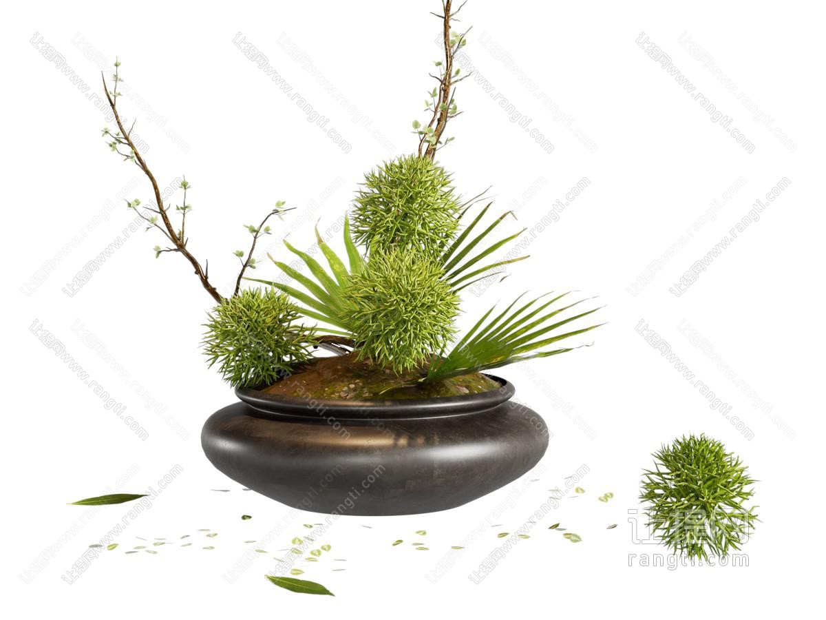 盆栽