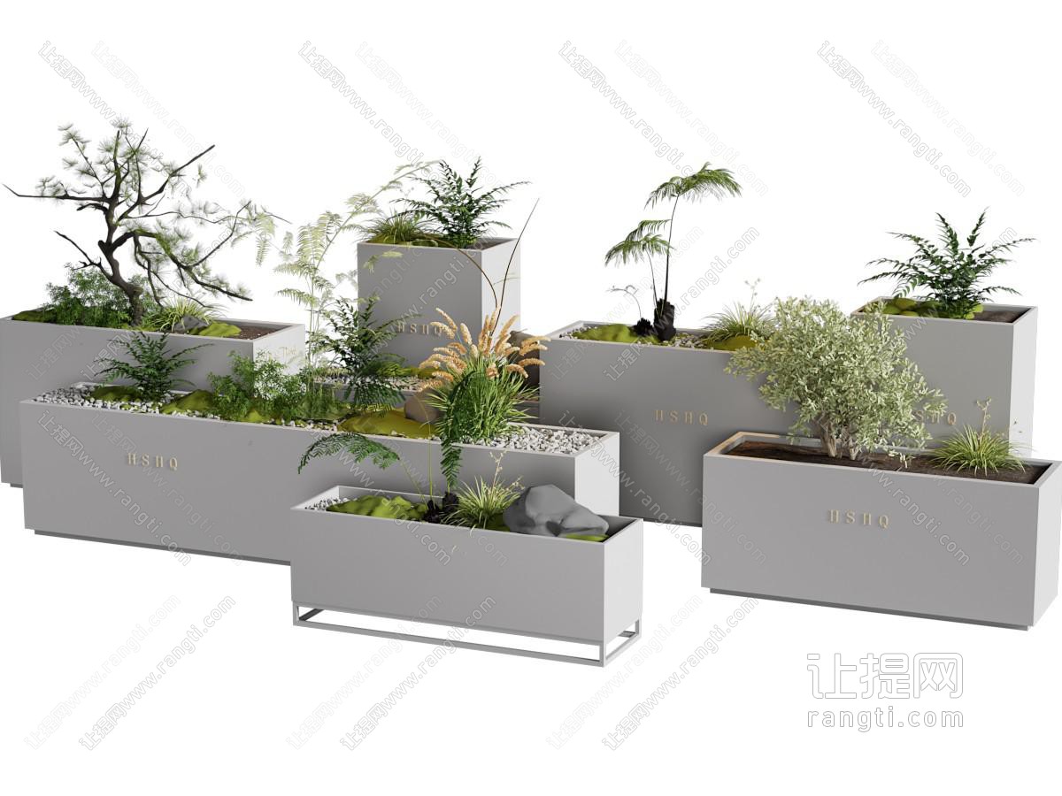 现代花箱盆景盆栽植物