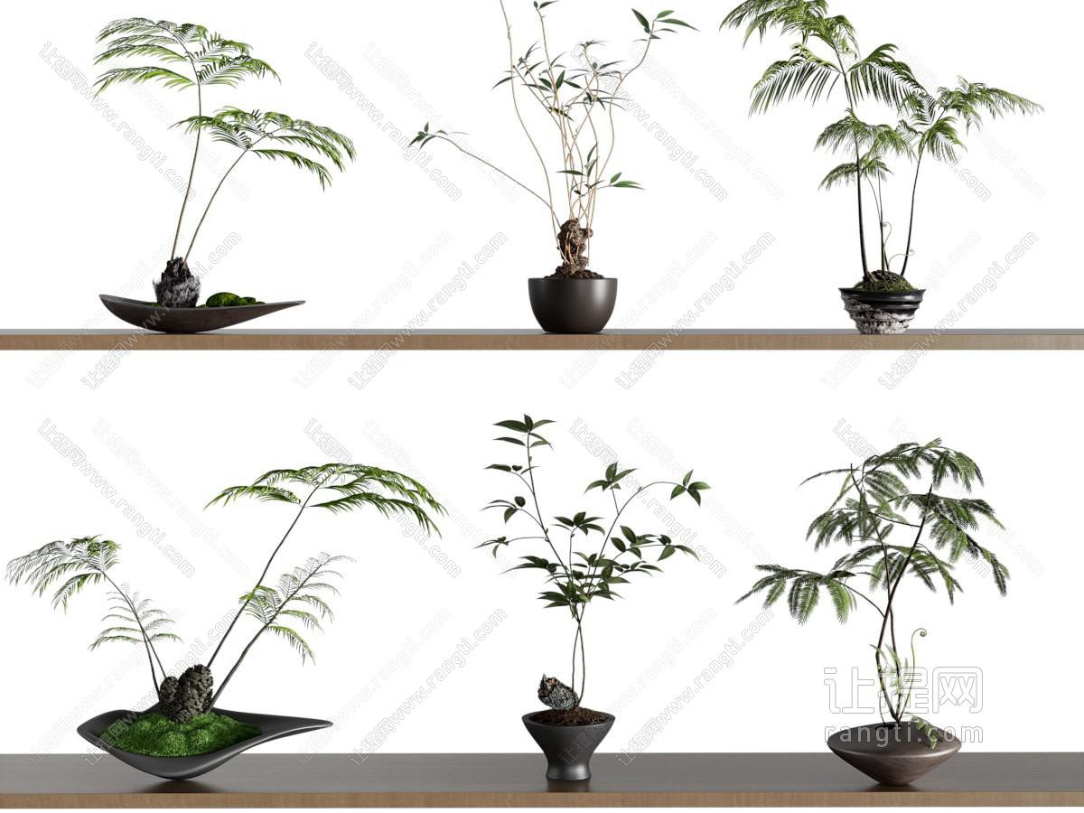 新中式盆景盆栽植物摆件组合