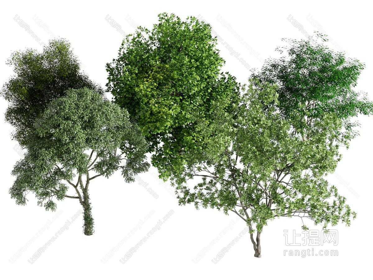 绿植树外景绿植景观树