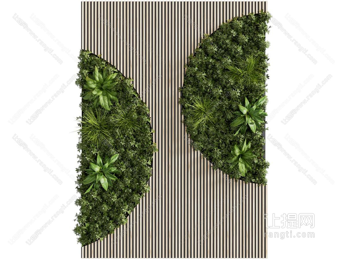 植物墙 绿植墙