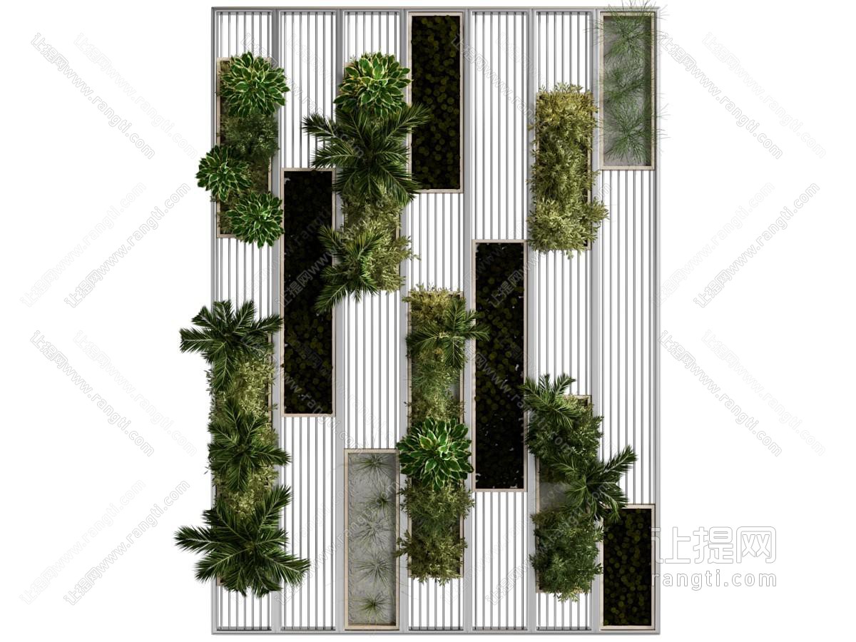 绿植墙
