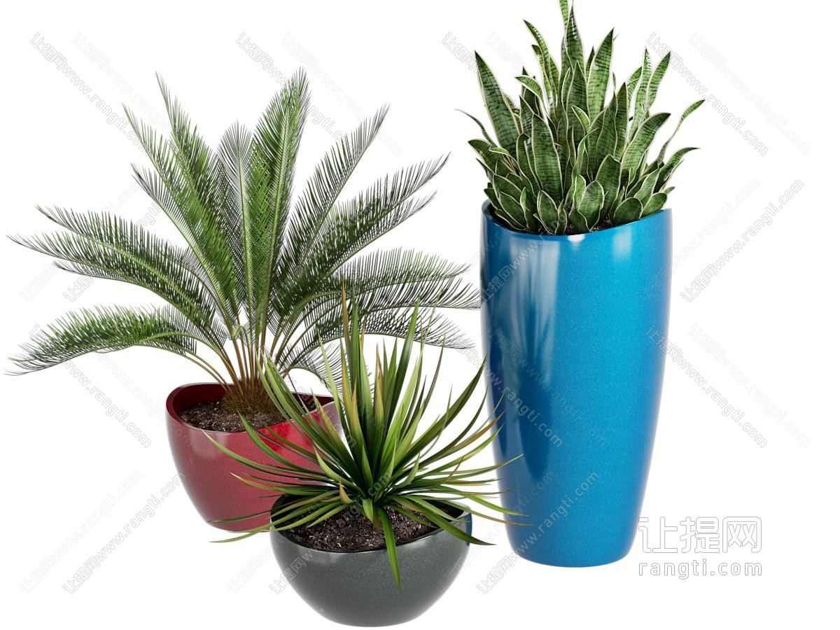 现代绿植盆栽组合