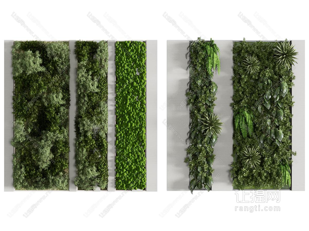 现代植物背景墙 植物墙