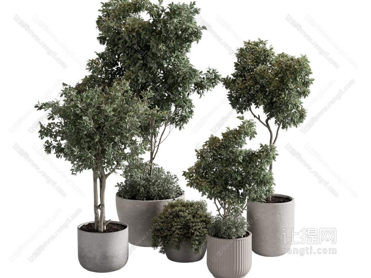 绿植盆栽