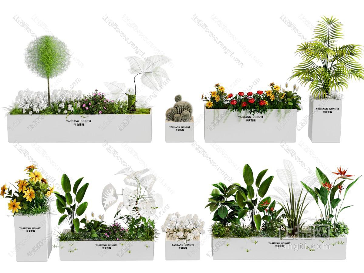 植物组合 外摆花箱 盆栽 花池花坛 花草 景观造景