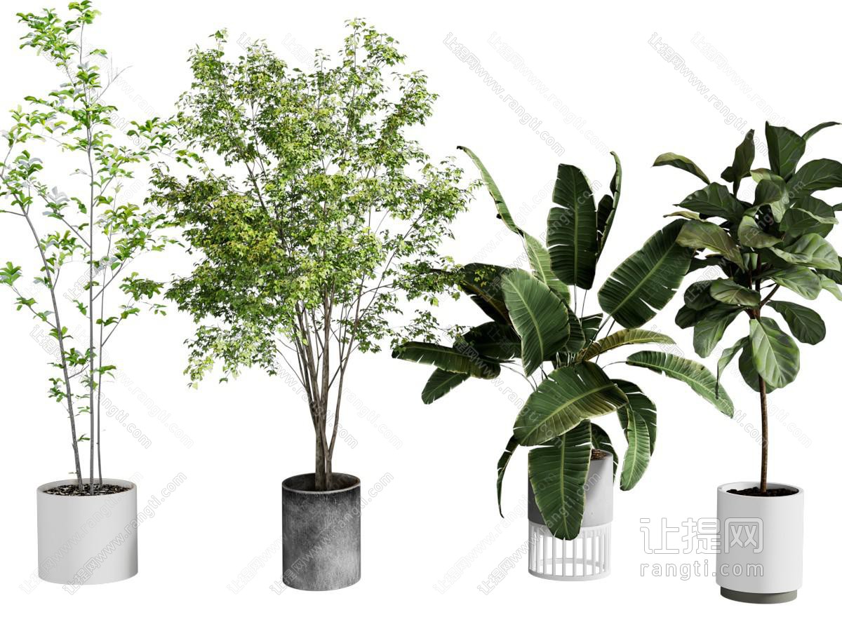 绿植盆栽盆景