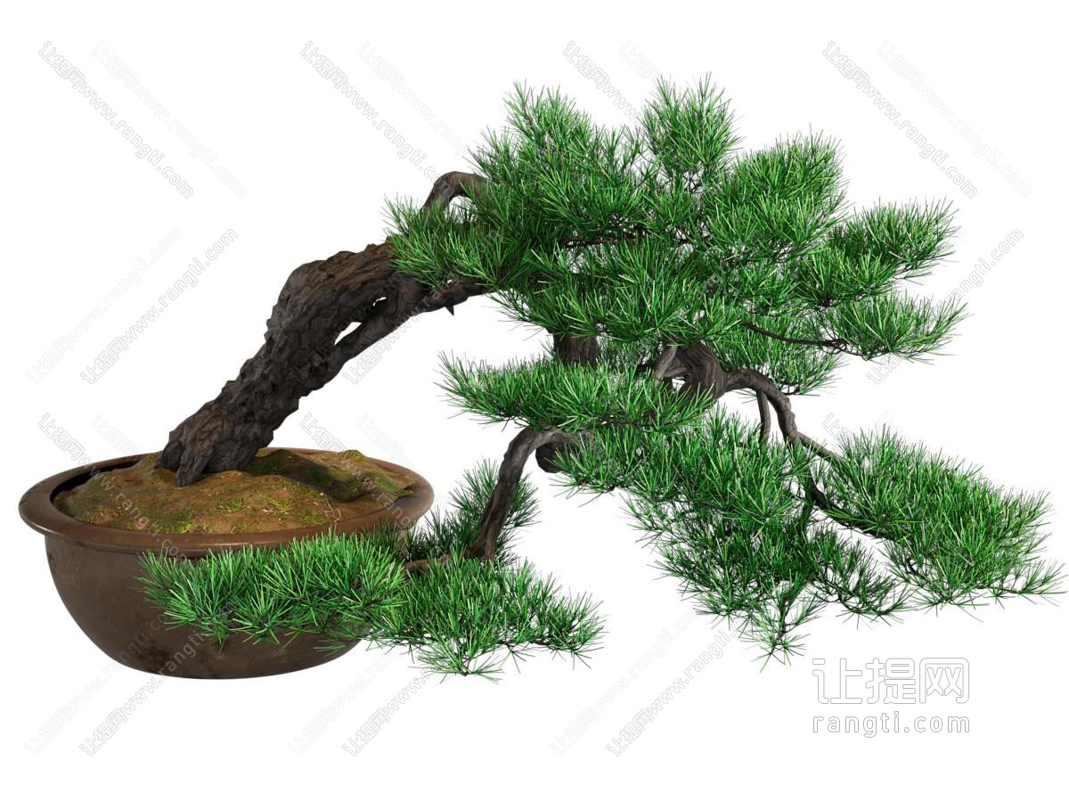 新中式盆栽