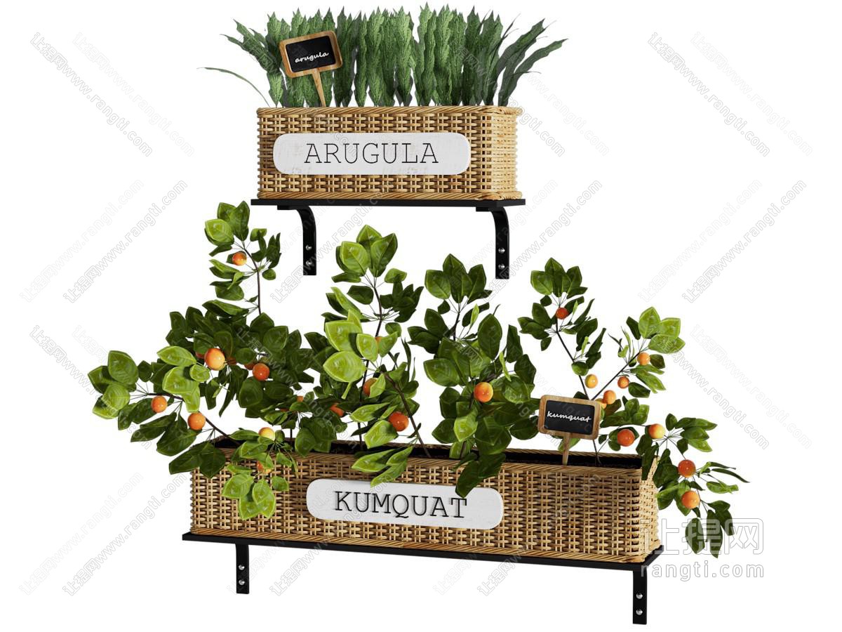 绿植墙