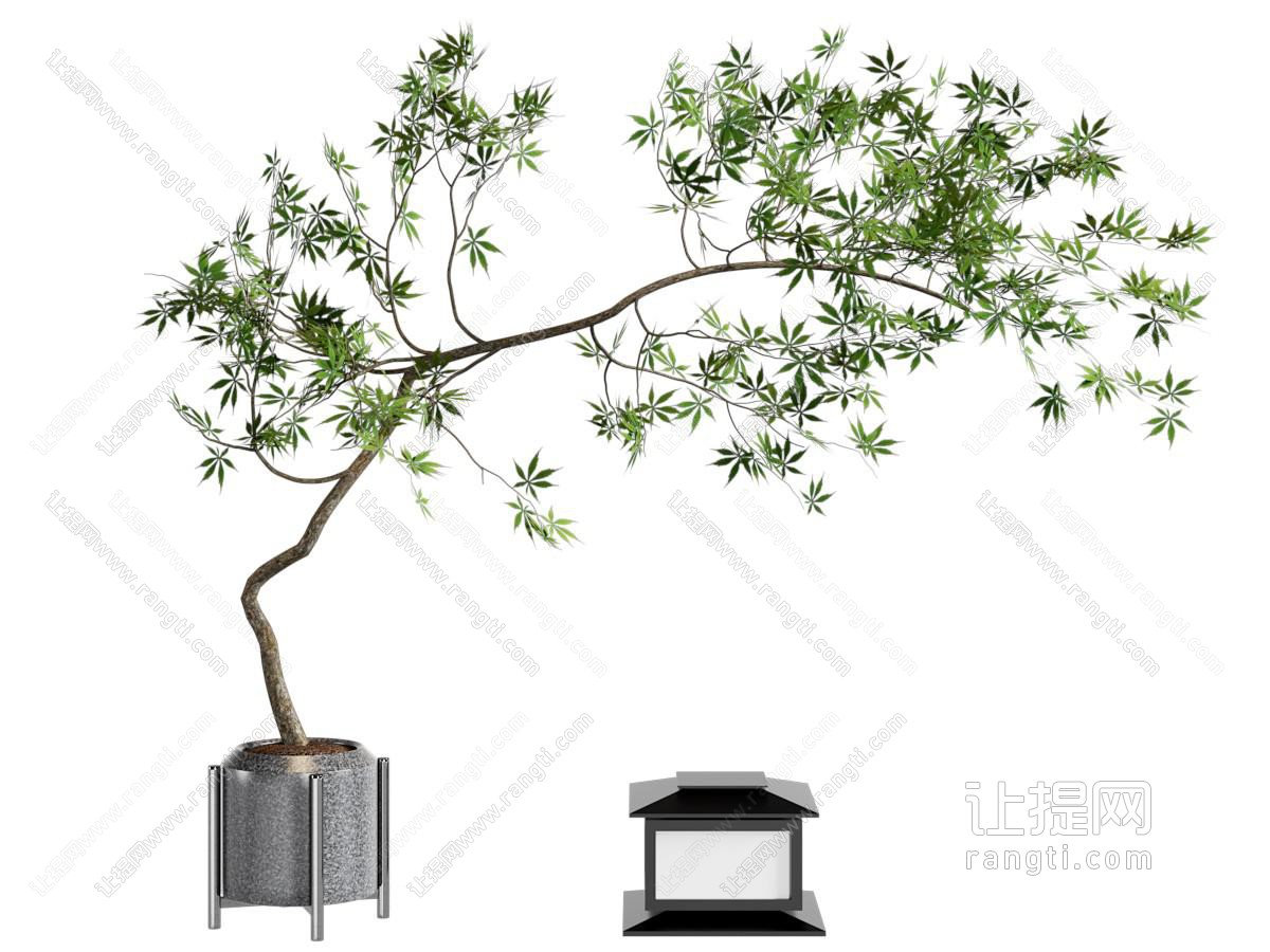 北欧植物盆栽