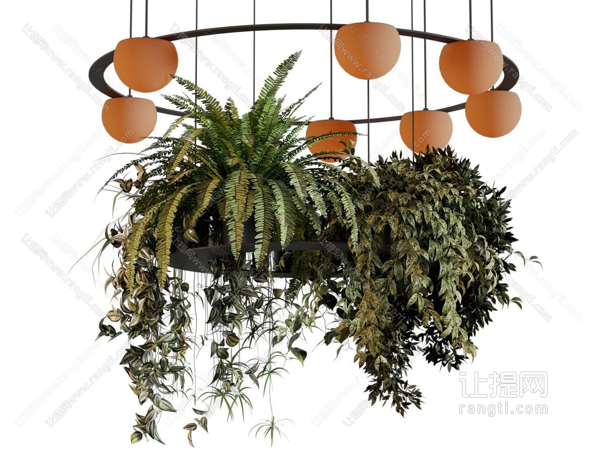 植物吊灯
