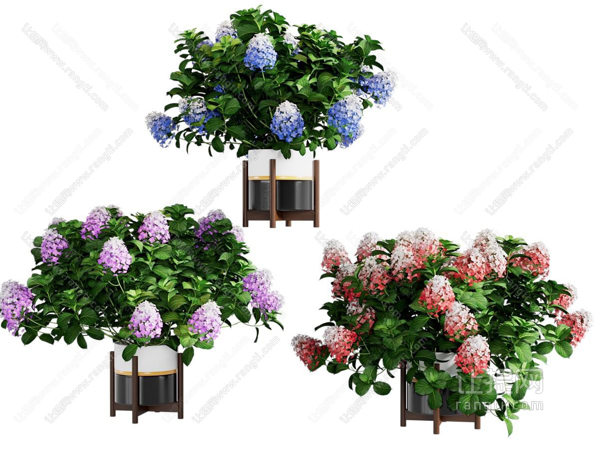 现代鲜花盆栽