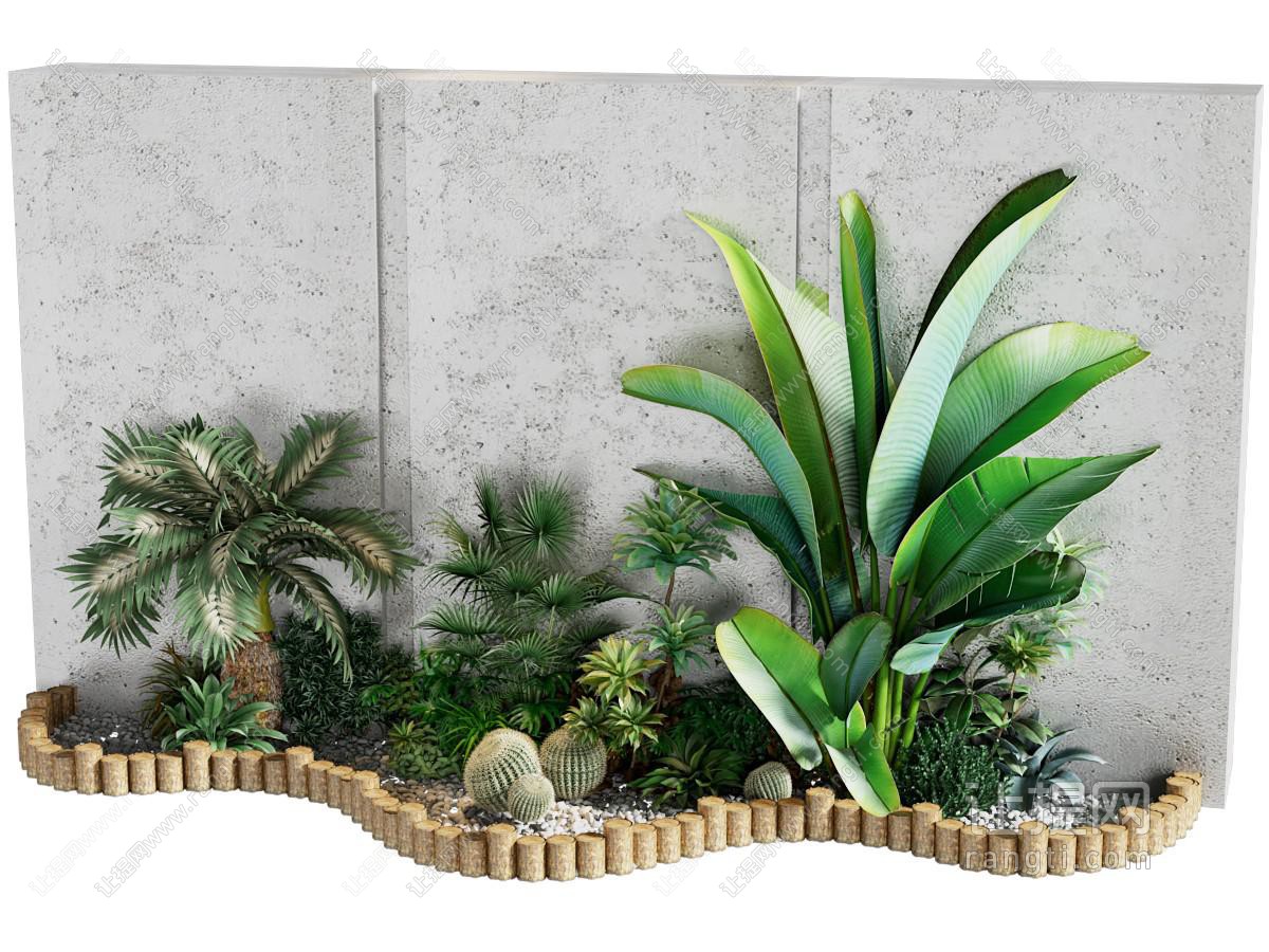现代植物
