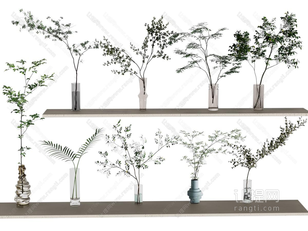 现代水生植物 现代花瓶花艺 绿植