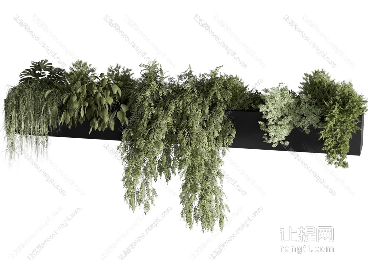 现代悬挂植物盆栽 绿植墙饰 垂吊植物