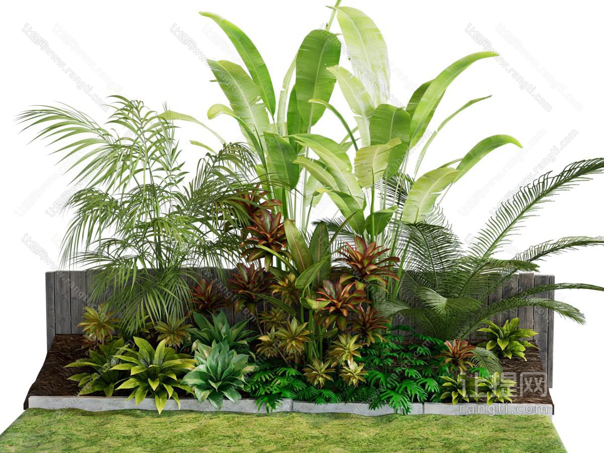 现代植物堆 室外绿植 土培绿植