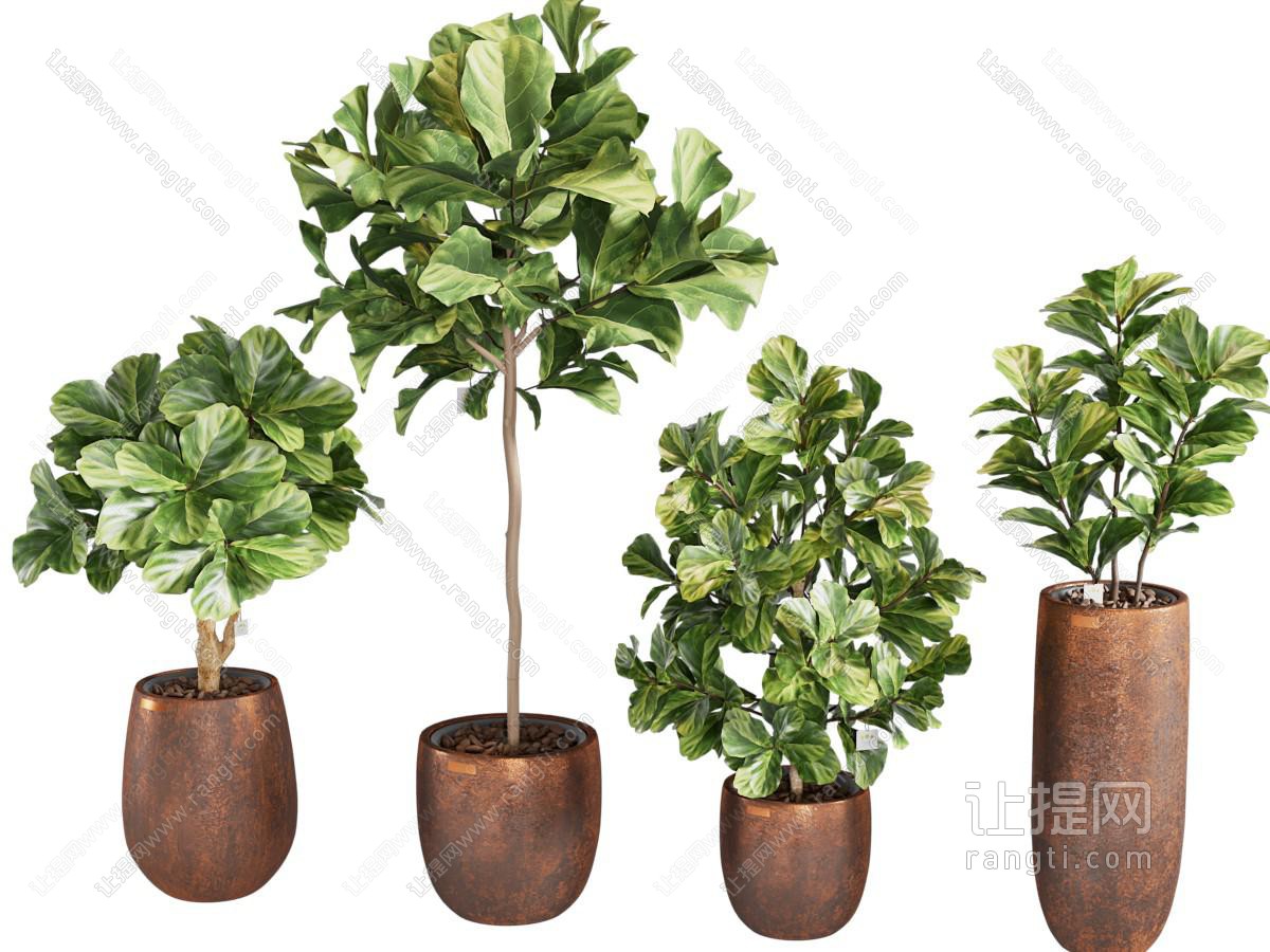 现代绿植盆栽