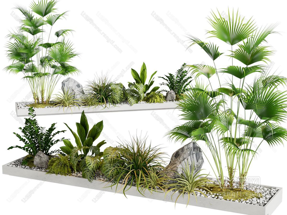 植物造景 蕨类植物 植物堆 微地形 热带植物