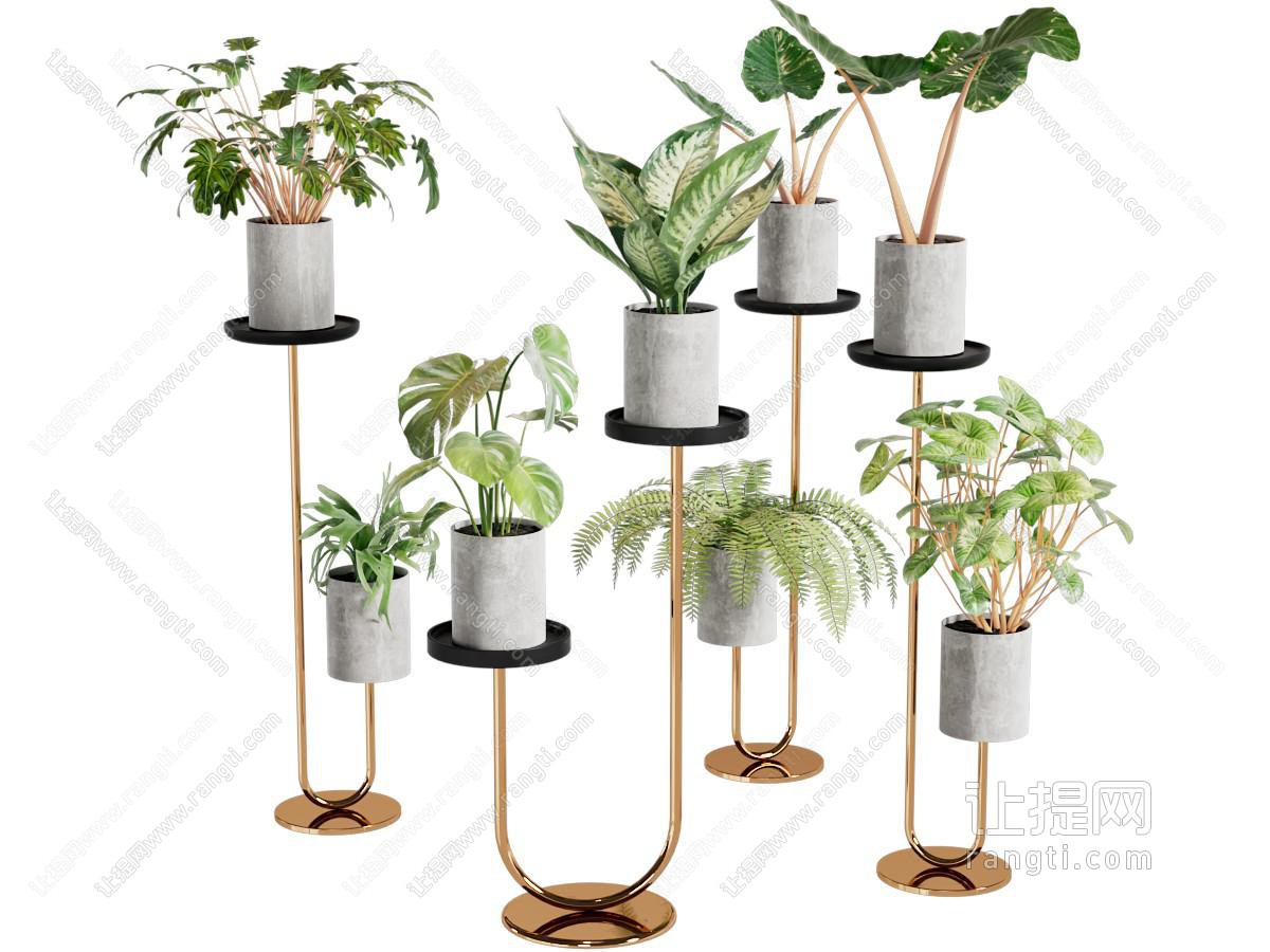 绿植盆栽组合
