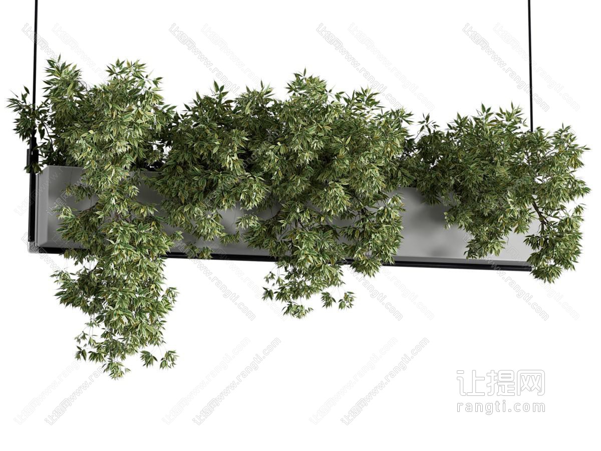 绿植吊篮