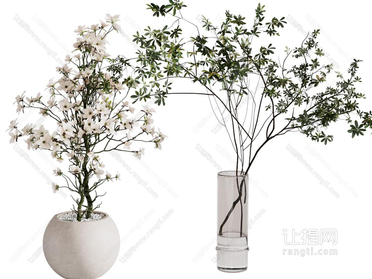绿植盆栽 盆景