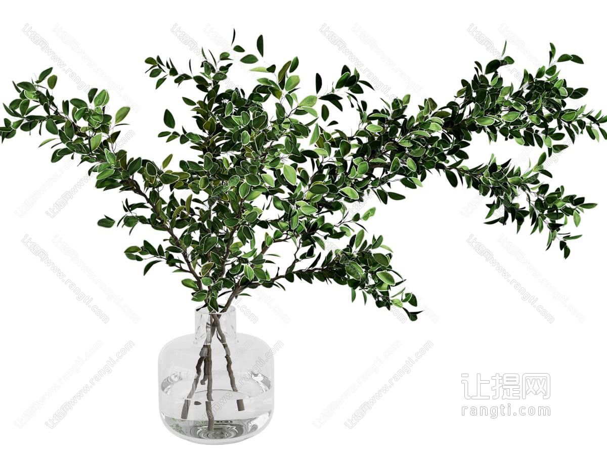 现代植物花瓶花艺