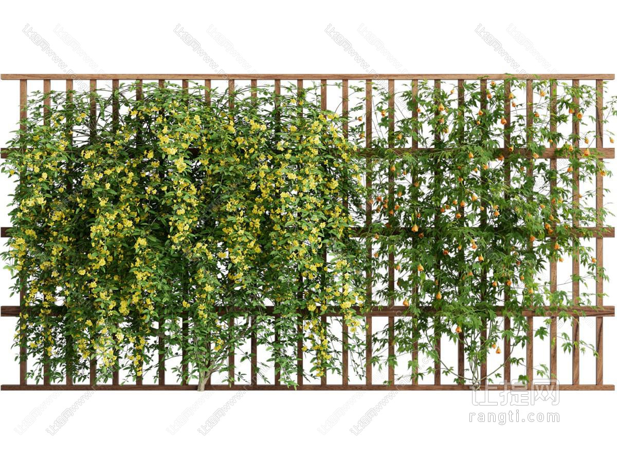 现代绿植藤蔓