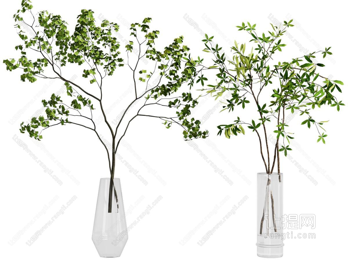 水生植物