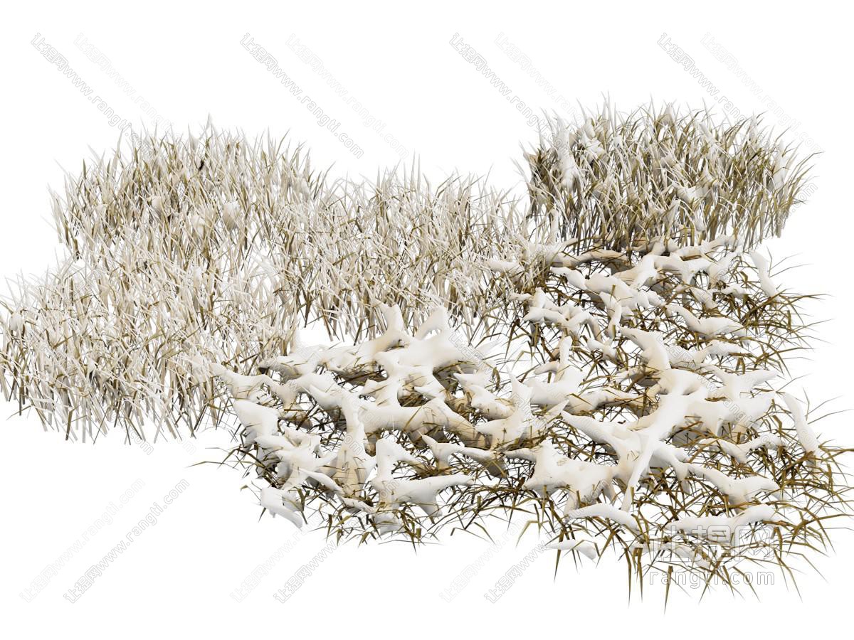 现代雪景 草地雪花