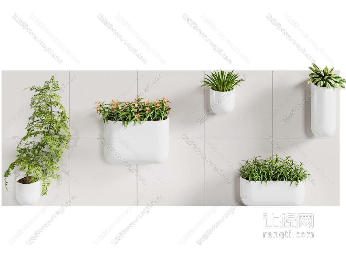 现代文心兰小盆栽植物墙