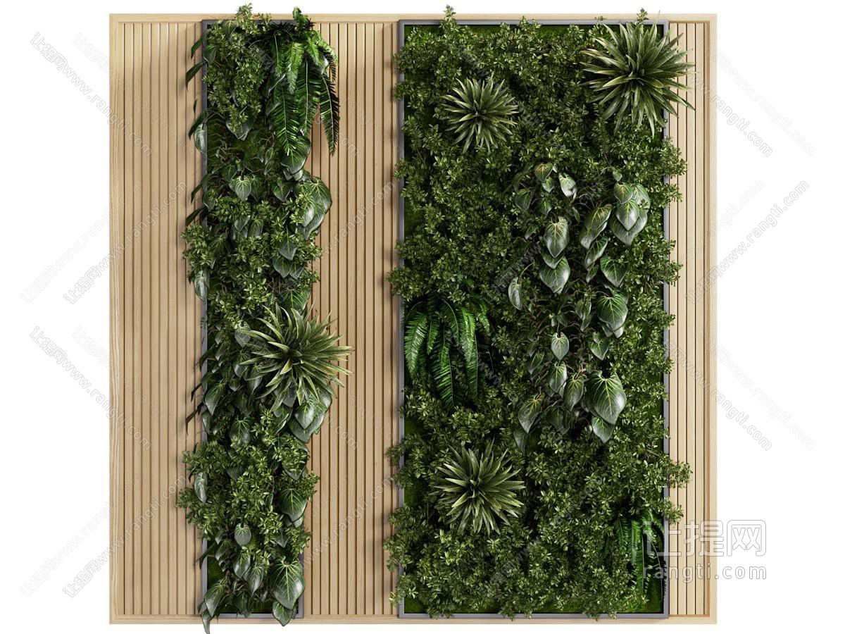 现代植物墙