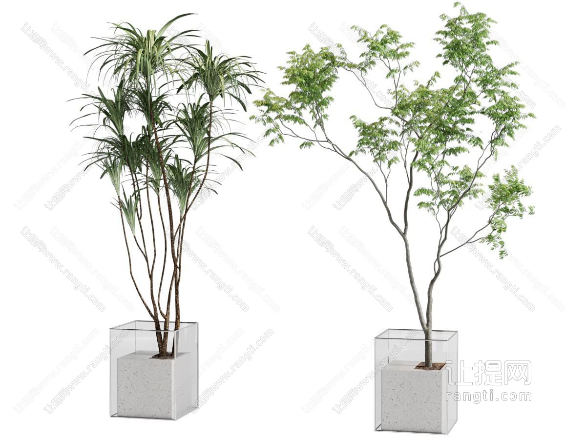 盆栽