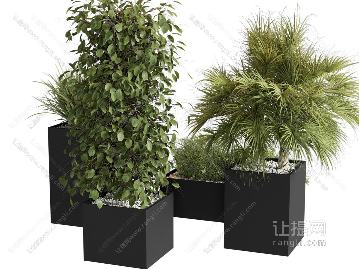 植物花箱